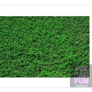 Fondo panel sublimado rectangular - FOLLAJE